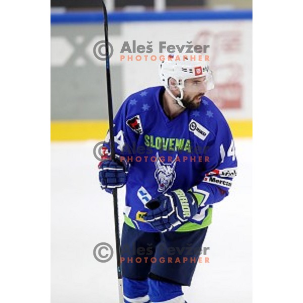 Matic Podlipnik in action during friendly Ice-Hockey match between Slovenia and Italy in Bled Ice Hall, Slovenia on April 25, 2019