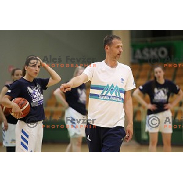 Slavko Duscak, assistant coach during Slovenia Women\'s basketball team during practice session in Tri Lilije Hall, Lasko on May 28, 2019