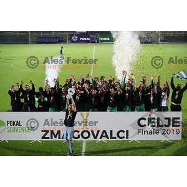 Nejc Vidmar and players of Olimpija celebrate victory in the Final of Slovenian Cup football match between Olimpija and Maribor in Celje, Slovenia on may 30, 2019