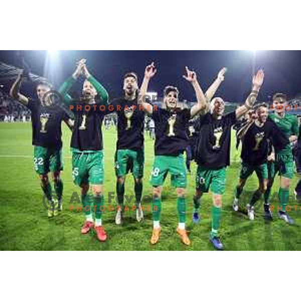 Jan Andrejasic, Tomislav Tomic, Asmir Suljic and players of Olimpija celebrate victory in the Final of Slovenian Cup football match between Olimpija and Maribor in Celje, Slovenia on may 30, 2019