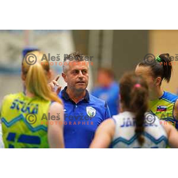Alessandro Chiappini, head coach of Slovenia in action during volleyball match between Slovenia and Greece in CEV European Silver League Women, Mislinja, Slovenia in June 15, 2019
