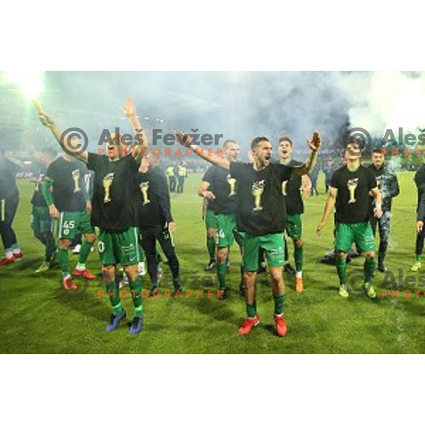 players of Olimpija celebrate victory in the Final of Slovenian Cup football match between Olimpija and Maribor in Celje, Slovenia on may 30, 2019
