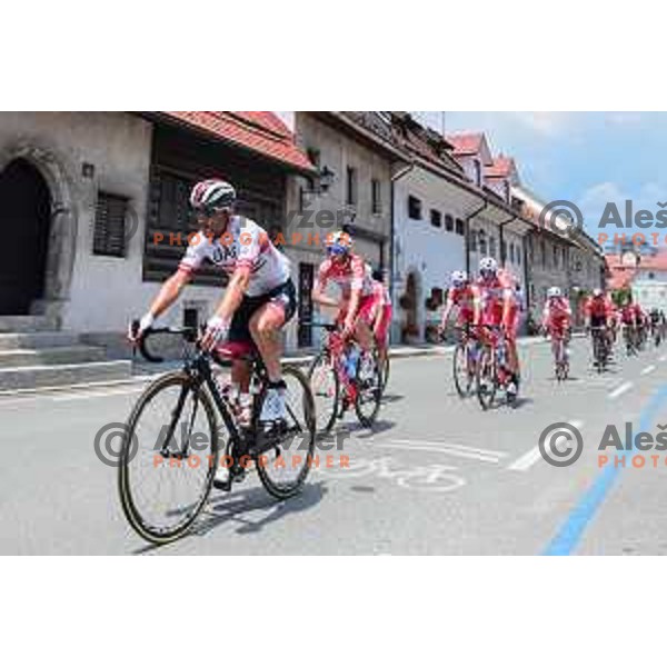 Diego Ulissi (UAE) winner of third stage at 26. Tour of Slovenia between Zalec and Idrija, UCI Cycling race, Slovenia on June 21, 2019