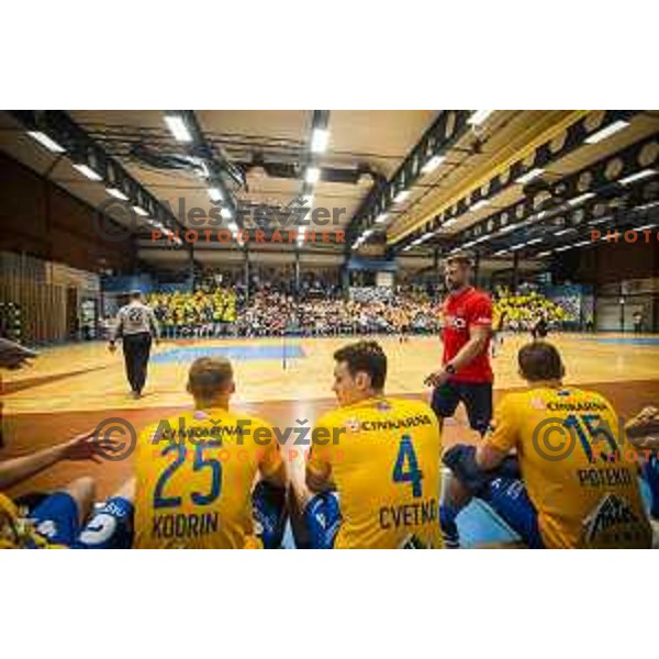 Tobias Cvetko and Tomaz Ocvirk, head coach of Celje PL during Slovenian Supercup handball match between Gorenje Velenje and Celje Pivovarna Lasko in Slovenj Gradec, Slovenia on August 30, 2019