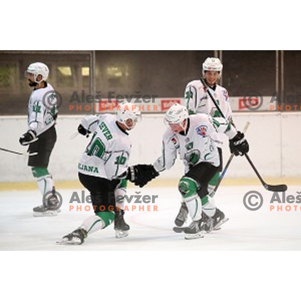 Mark Sever and Miha Logar in action at Slovenian Cup Final ice-hockey match between SZ Olimpija and Acroni Jesenice in Kranj on September 7, 2019