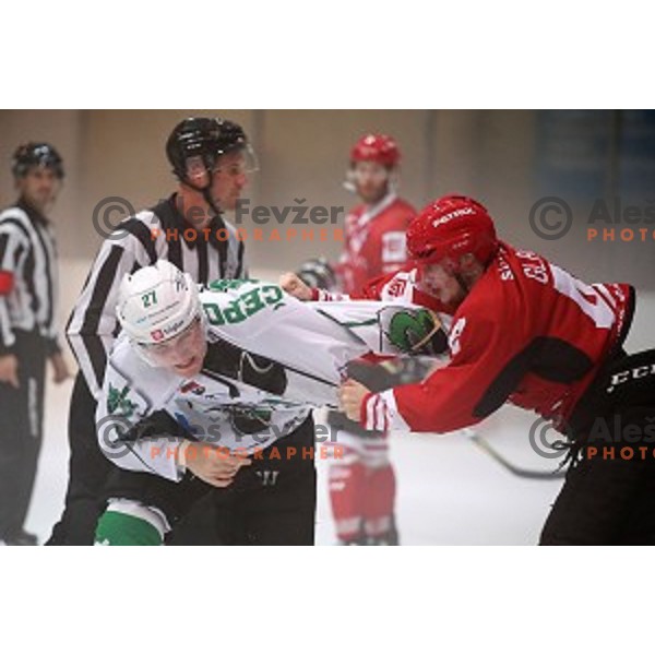 MArk Cepon and Gasper Glavic fights in Slovenian Cup Final ice-hockey match between SZ Olimpija and Acroni Jesenice in Kranj on September 7, 2019