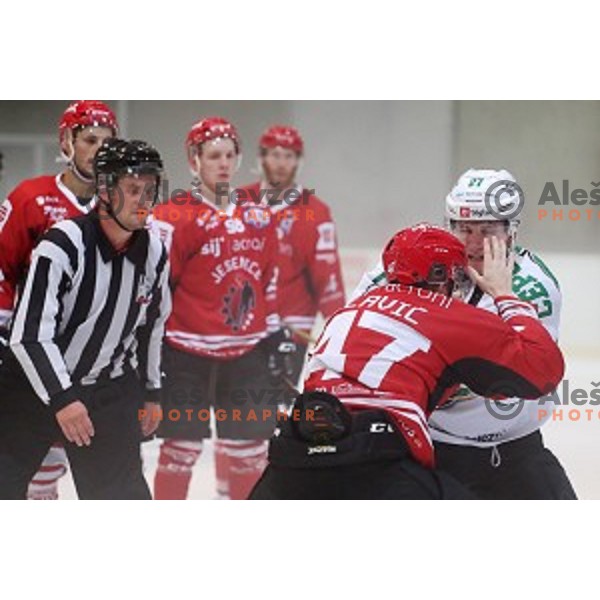 in action at Slovenian Cup Final ice-hockey match between SZ Olimpija and Acroni Jesenice in Kranj on September 7, 2019