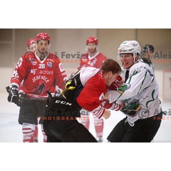 Gasper Glavic and MArk Cepon fights in Slovenian Cup Final ice-hockey match between SZ Olimpija and Acroni Jesenice in Kranj on September 7, 2019