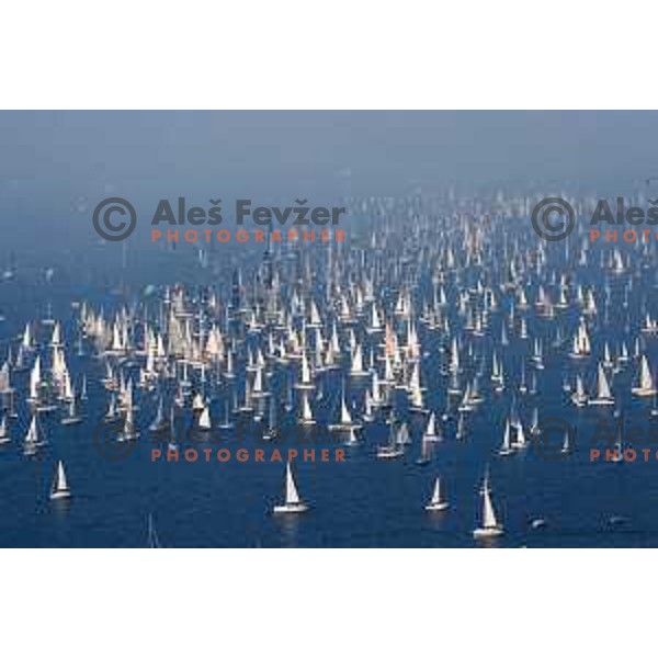 Barcolana sailing regatta, Trieste, Italy on October 13, 2019 