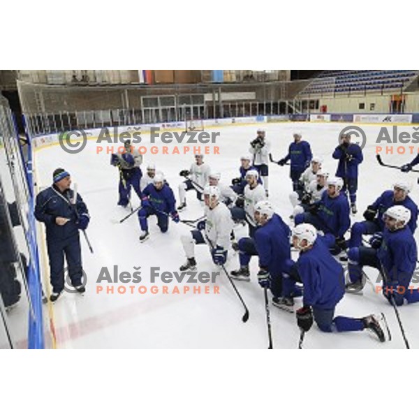 Matjaz Kopitar, head coach of Slovenia ice-hockey team during practice session in Bled Ice Hall on November 4, 2019
