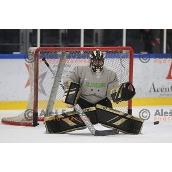 Matija Pintaric of Slovenia ice-hockey team during practice session in Bled Ice Hall on November 4, 2019