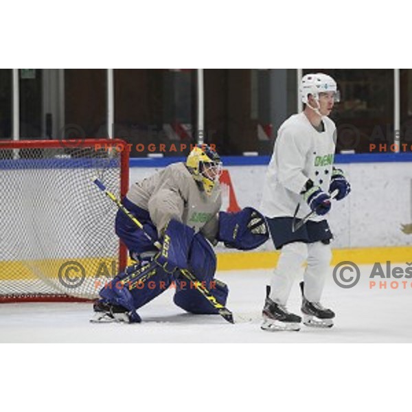 Luka Gracnar of Slovenia ice-hockey team during practice session in Bled Ice Hall on November 4, 2019