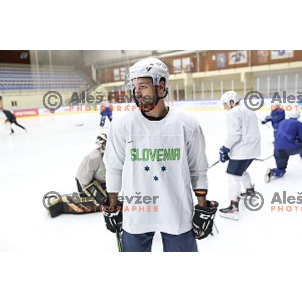 Gregor Koblar of Slovenia ice-hockey team during practice session in Bled Ice Hall on November 4, 2019
