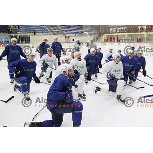 of Slovenia ice-hockey team during practice session in Bled Ice Hall on November 4, 2019