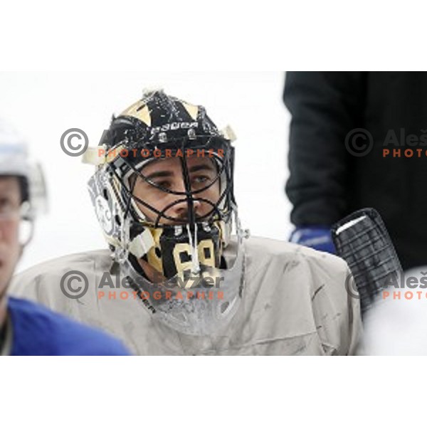 Matija Pintaric of Slovenia ice-hockey team during practice session in Bled Ice Hall on November 4, 2019