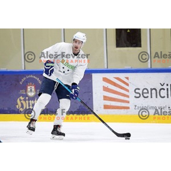 of Slovenia ice-hockey team during practice session in Bled Ice Hall on November 4, 2019