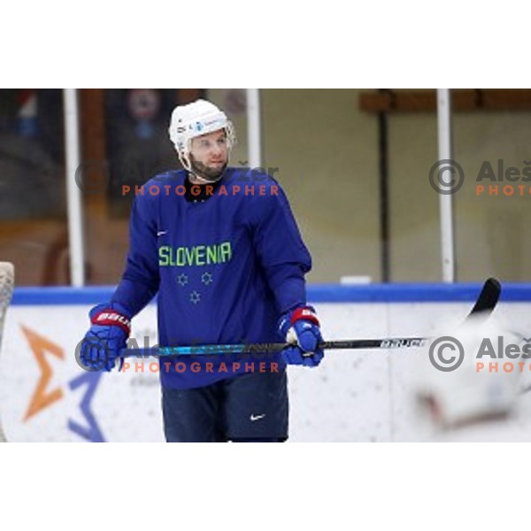Rok Ticar of Slovenia ice-hockey team during practice session in Bled Ice Hall on November 4, 2019