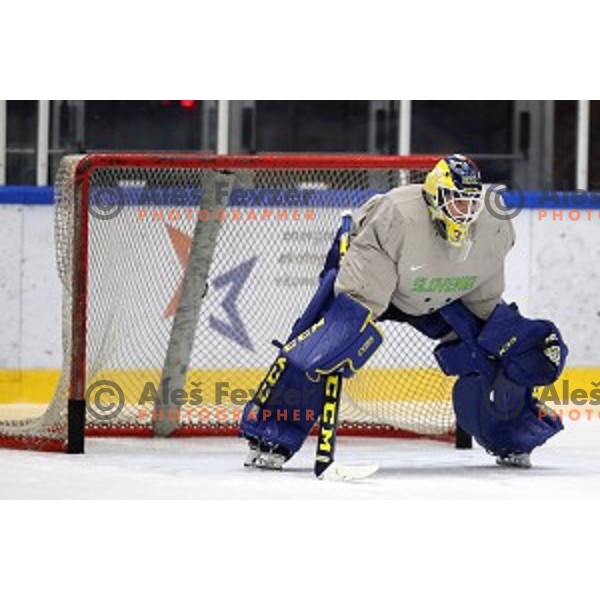 Luka Gracnar of Slovenia ice-hockey team during practice session in Bled Ice Hall on November 4, 2019