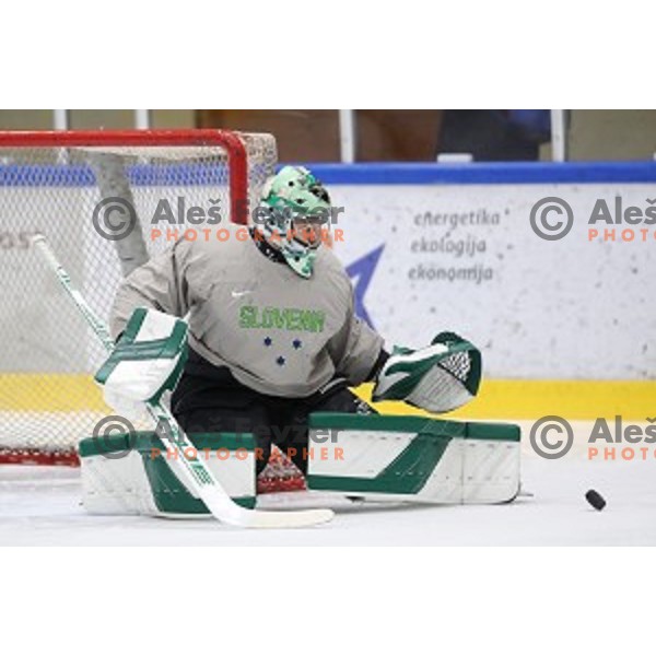 Zan Us of Slovenia ice-hockey team during practice session in Bled Ice Hall on November 4, 2019