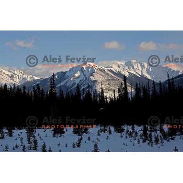 Kootenay National Park in Canadian Rockies,Alberta, Canada on 2nd of March 2008. Photo by Ales Fevzer 