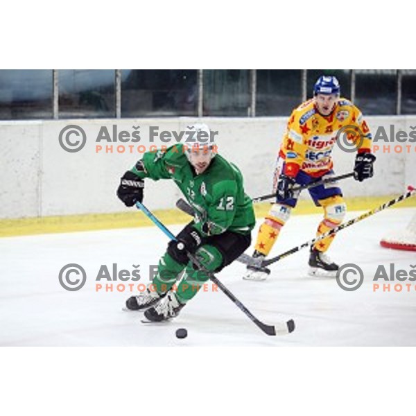 Nik Simsic of SZ Olimpija in action during Alps League regular season ice-hockey match between SZ Olimpija and Asiago in Tivoli Hall, Ljubljana, Slovenia on December 21, 2019