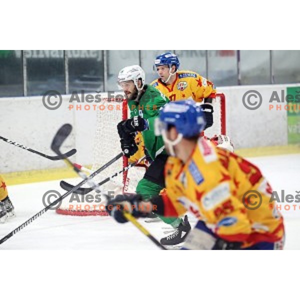 Gal Koren of SZ Olimpija in action during Alps League regular season ice-hockey match between SZ Olimpija and Asiago in Tivoli Hall, Ljubljana, Slovenia on December 21, 2019