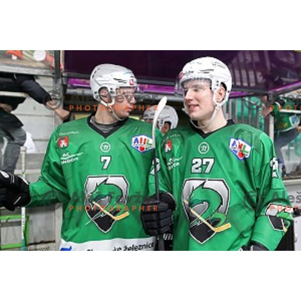 Luka Zorko and Mark Cepon of SZ Olimpija in action during Alps League regular season ice-hockey match between SZ Olimpija and Asiago in Tivoli Hall, Ljubljana, Slovenia on December 21, 2019
