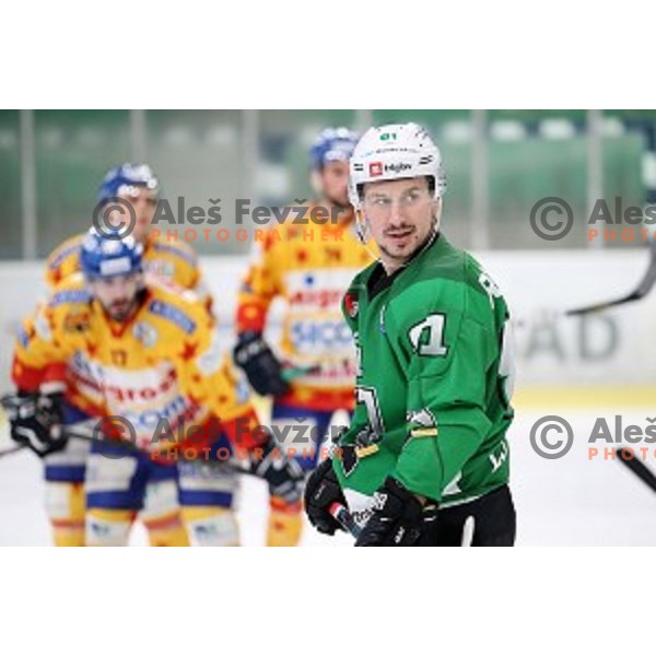 Saso Rajsar of SZ Olimpija in action during Alps League regular season ice-hockey match between SZ Olimpija and Asiago in Tivoli Hall, Ljubljana, Slovenia on December 21, 2019