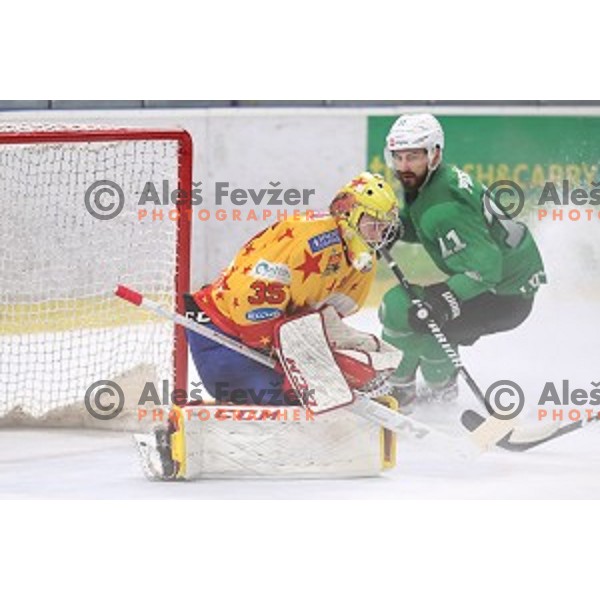 Ziga Pesut of SZ Olimpija in action during Alps League regular season ice-hockey match between SZ Olimpija and Asiago in Tivoli Hall, Ljubljana, Slovenia on December 21, 2019