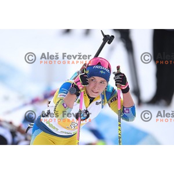 Anna Magnusson (SWE) competes in Mixed 4x7.5 km Relay at IBU Biathlon World Cup, Pokljuka, Slovenia on January 25, 2020