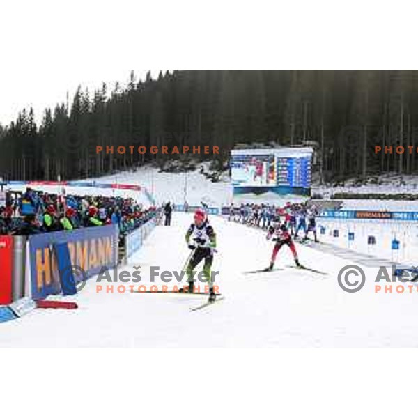 Jakov Fak (SLO) competes in Mixed 4x7.5 km Relay at IBU Biathlon World Cup, Pokljuka, Slovenia on January 25, 2020