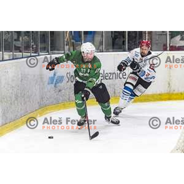 of SZ Olimpija in action during Alps League regular season ice-hockey match between SZ Olimpija and Acroni Jesenice in Tivoli Hall, Ljubljana, Slovenia on February 13 , 2020