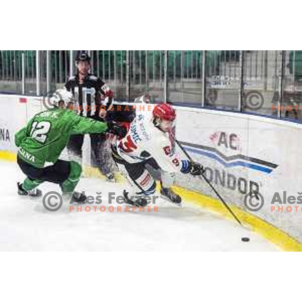 Kristjan Cepon and Djumic of Acroni Jesenice in action during Alps League regular season ice-hockey match between SZ Olimpija and Acroni Jesenice in Tivoli Hall, Ljubljana, Slovenia on February 13 , 2020