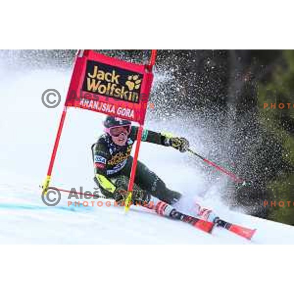 Nina O\'Brien (USA) skiing in the first run of AUDI FIS Alpine Ski World Cup Giant Slalom for 56. Golden Fox Trophy in Kranjska gora, Slovenia on February 15, 2020