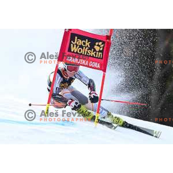 Kaja Norbye (NOR) skiing in the first run of AUDI FIS Alpine Ski World Cup Giant Slalom for 56. Golden Fox Trophy in Kranjska gora, Slovenia on February 15, 2020