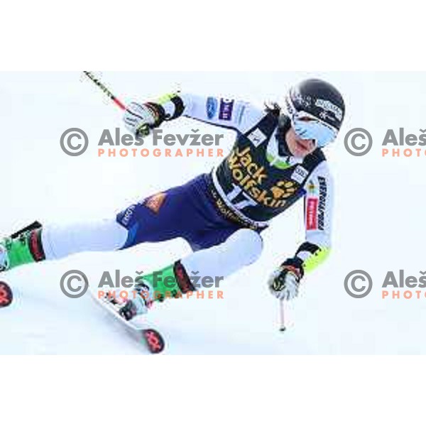 Tina Robnik (SLO) skiing in the first run of AUDI FIS Alpine Ski World Cup Giant Slalom for 56. Golden Fox Trophy in Kranjska gora, Slovenia on February 15, 2020