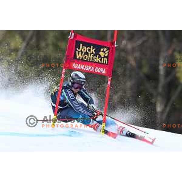 Esthelle Alphand (SWE) skiing in the first run of AUDI FIS Alpine Ski World Cup Giant Slalom for 56. Golden Fox Trophy in Kranjska gora, Slovenia on February 15, 2020