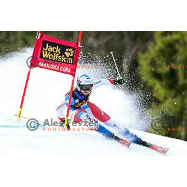  skiing in the first run of AUDI FIS Alpine Ski World Cup Giant Slalom for 56. Golden Fox Trophy in Kranjska gora, Slovenia on February 15, 2020