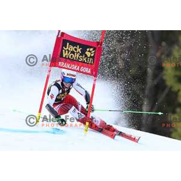 Eva Maria Brem (AUT) skiing in the first run of AUDI FIS Alpine Ski World Cup Giant Slalom for 56. Golden Fox Trophy in Kranjska gora, Slovenia on February 15, 2020