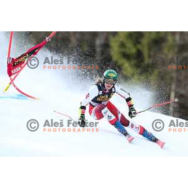 Katharina Liensberger skiing in the first run of AUDI FIS Alpine Ski World Cup Giant Slalom for 56. Golden Fox Trophy in Kranjska gora, Slovenia on February 15, 2020