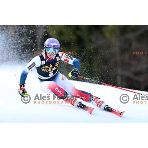 Tessa Worley (FRA) skiing in the first run of AUDI FIS Alpine Ski World Cup Giant Slalom for 56. Golden Fox Trophy in Kranjska gora, Slovenia on February 15, 2020