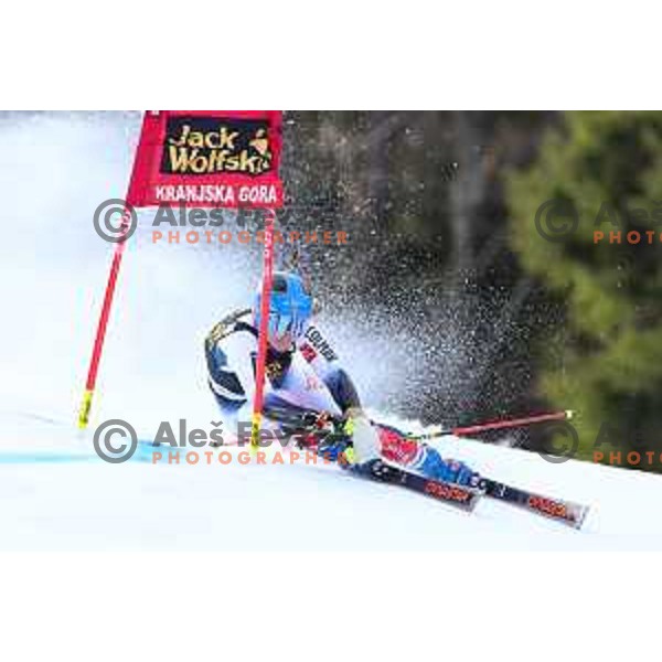 Ciara Direz skiing in the first run of AUDI FIS Alpine Ski World Cup Giant Slalom for 56. Golden Fox Trophy in Kranjska gora, Slovenia on February 15, 2020