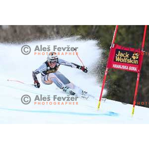 Maria Therese Tviberg skiing in the first run of AUDI FIS Alpine Ski World Cup Giant Slalom for 56. Golden Fox Trophy in Kranjska gora, Slovenia on February 15, 2020