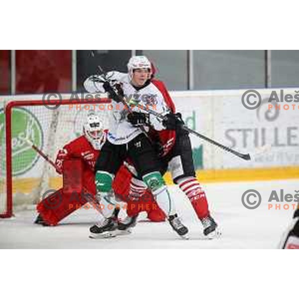 action during Alps league ice-hockey match between Acroni Jesenice and SZ Olimpija in Podmezakla Hall, Jesenice, Slovenia on March 2, 2020