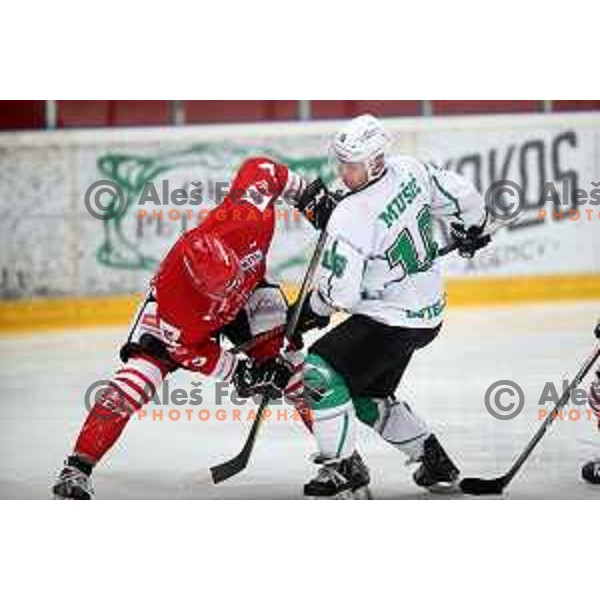 Ales Music in action during Alps league ice-hockey match between Acroni Jesenice and SZ Olimpija in Podmezakla Hall, Jesenice, Slovenia on March 2, 2020