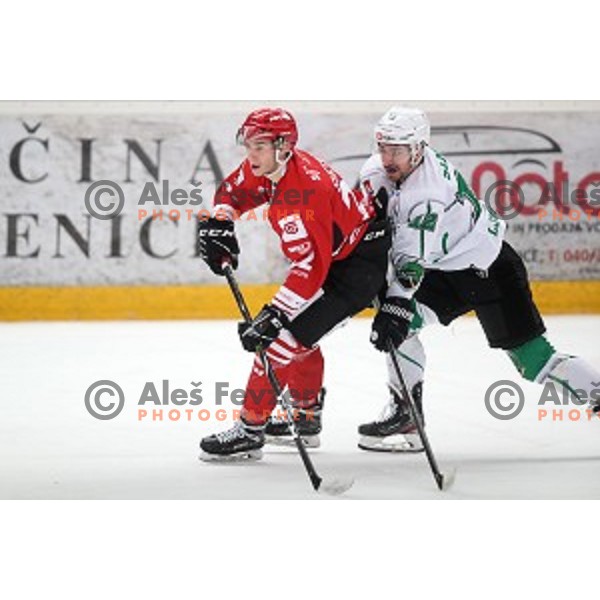 Erik Svetina and Nik Simsic in action during Alps league ice-hockey match between Acroni Jesenice and SZ Olimpija in Podmezakla Hall, Jesenice, Slovenia on March 2, 2020