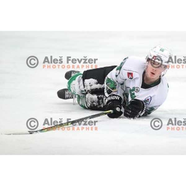 Mark Sever during Alps league ice-hockey match between Acroni Jesenice and SZ Olimpija in Podmezakla Hall, Jesenice, Slovenia on March 2, 2020