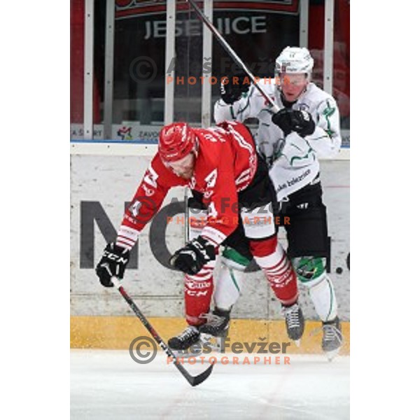 Andrej Tavzelj and Miha Logar in action during Alps league ice-hockey match between Acroni Jesenice and SZ Olimpija in Podmezakla Hall, Jesenice, Slovenia on March 2, 2020