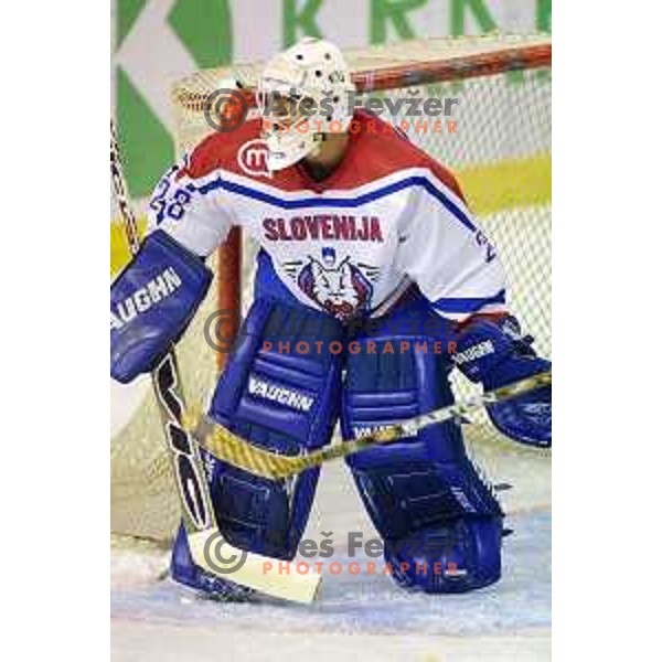 of Slovenia Ice-Hockey team during friendly match against France in Tivoli Hall before World Championship Divison 1 group B in Ljubljana, Slovenia on April 2001
