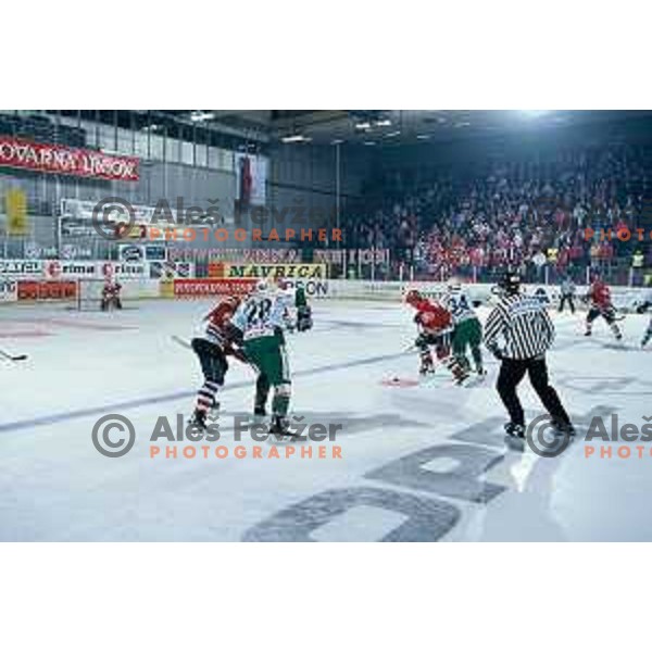 Ice hockey match between Olimpija and Jesenice in Slovenian National Ice-hockey Championships in Tivoli Hall, Ljubljana on May 2002